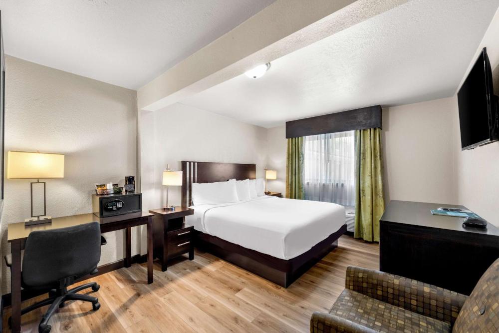 Deluxe King Room interior