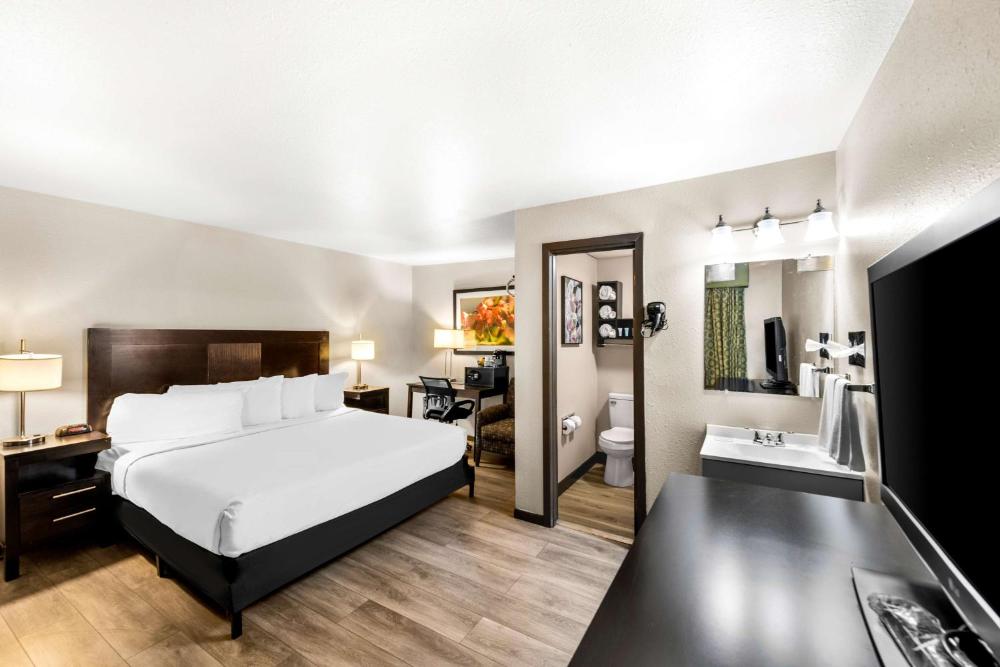 King Room interior